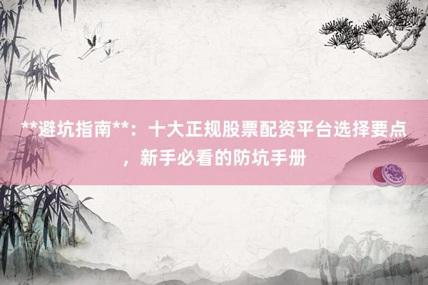 **避坑指南**：十大正规股票配资平台选择要点，新手必看的防坑手册