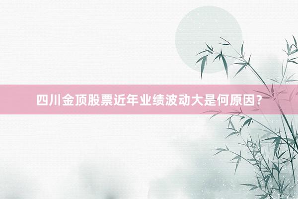 四川金顶股票近年业绩波动大是何原因？