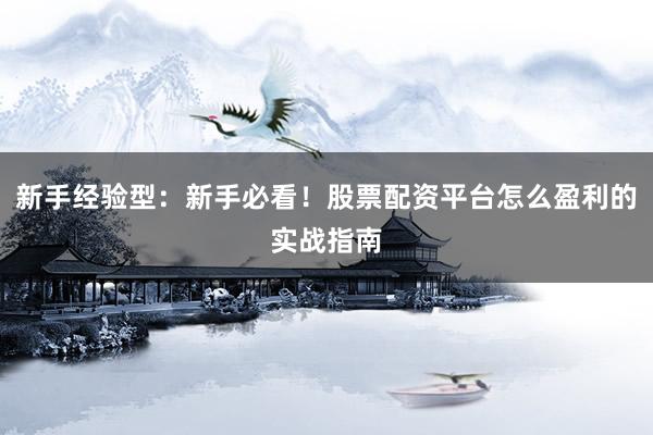 新手经验型：新手必看！股票配资平台怎么盈利的实战指南