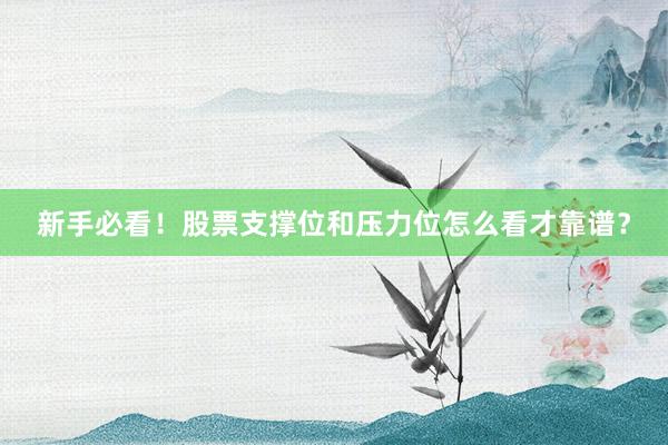 新手必看！股票支撑位和压力位怎么看才靠谱？
