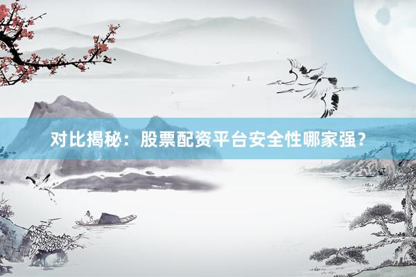 对比揭秘：股票配资平台安全性哪家强？
