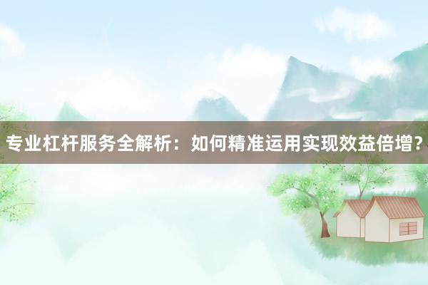 专业杠杆服务全解析：如何精准运用实现效益倍增？