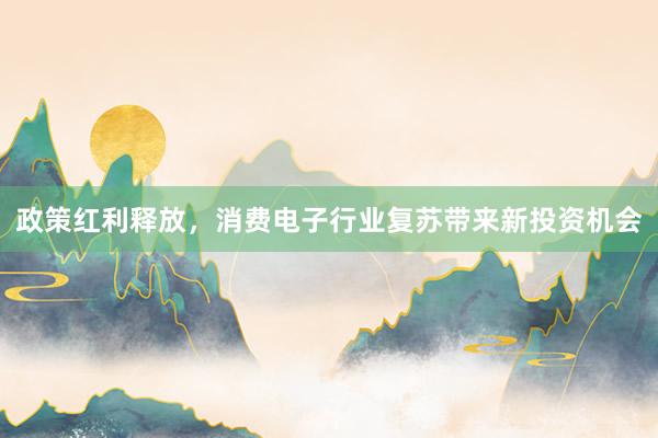 政策红利释放，消费电子行业复苏带来新投资机会