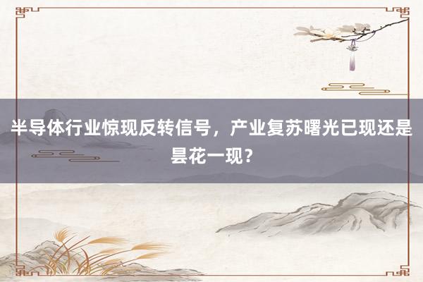 半导体行业惊现反转信号,产业复苏曙光已现还是昙花一现?