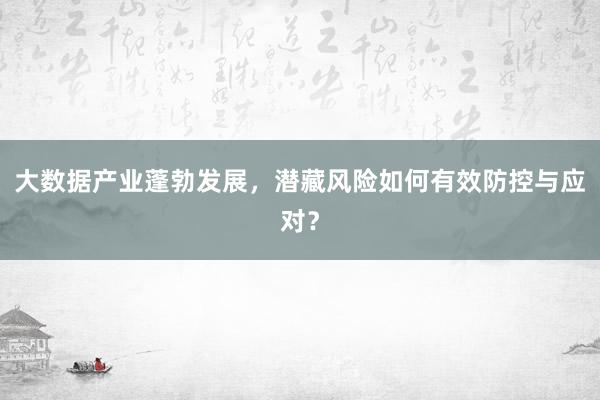 大数据产业蓬勃发展，潜藏风险如何有效防控与应对？