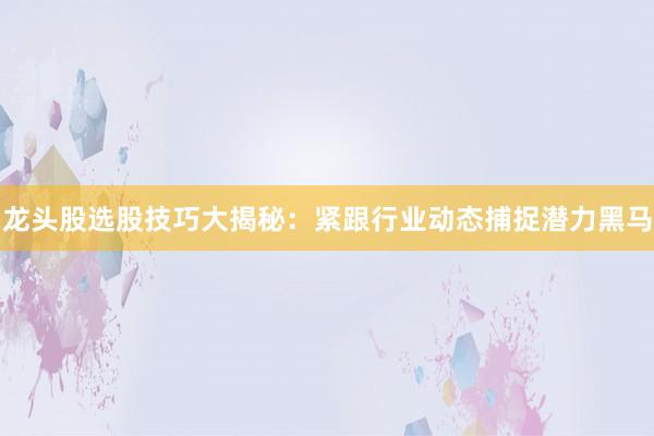 龙头股选股技巧大揭秘：紧跟行业动态捕捉潜力黑马