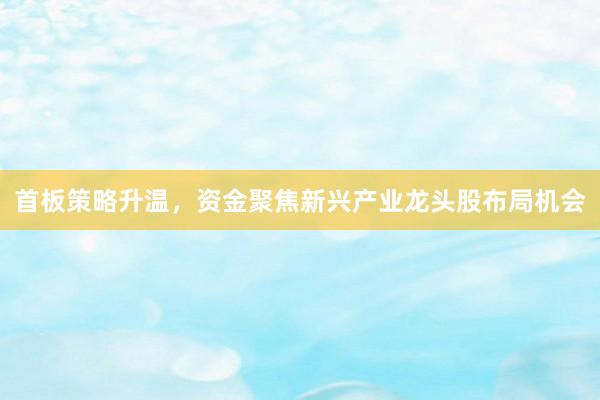 首板策略升温，资金聚焦新兴产业龙头股布局机会