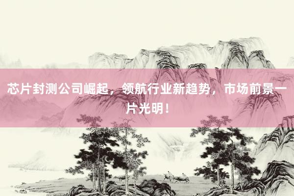 芯片封测公司崛起，领航行业新趋势，市场前景一片光明！