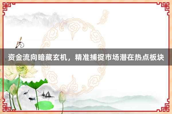 资金流向暗藏玄机，精准捕捉市场潜在热点板块