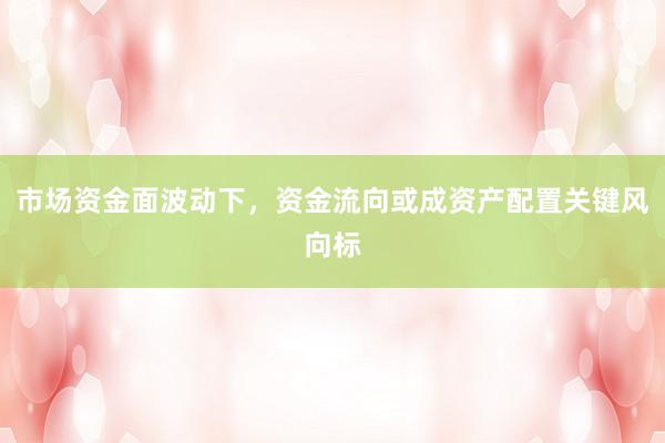 市场资金面波动下，资金流向或成资产配置关键风向标