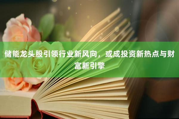 储能龙头股引领行业新风向，或成投资新热点与财富新引擎