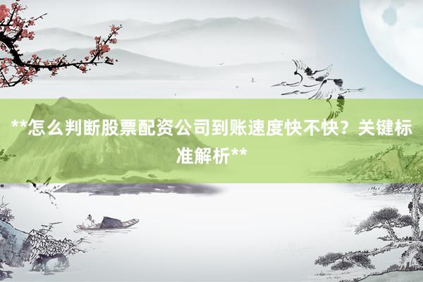 **怎么判断股票配资公司到账速度快不快？关键标准解析**