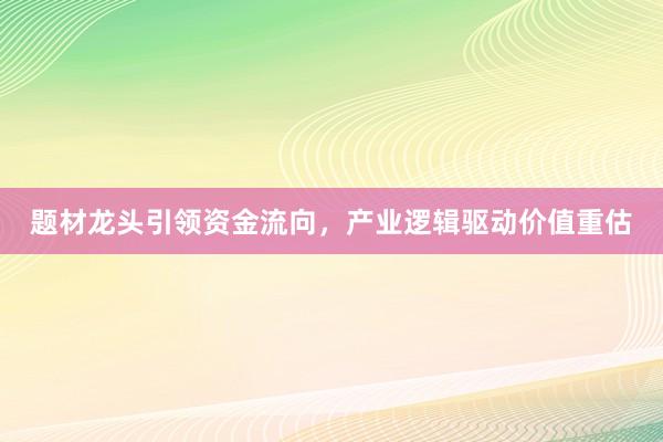 题材龙头引领资金流向，产业逻辑驱动价值重估
