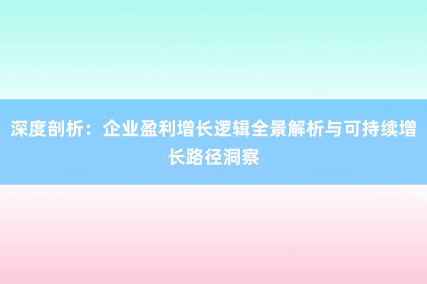 深度剖析：企业盈利增长逻辑全景解析与可持续增长路径洞察